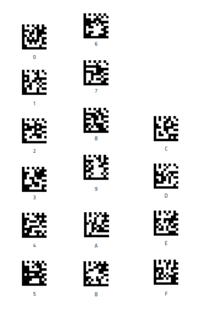 Barcodes DATALOGIC 2D 2